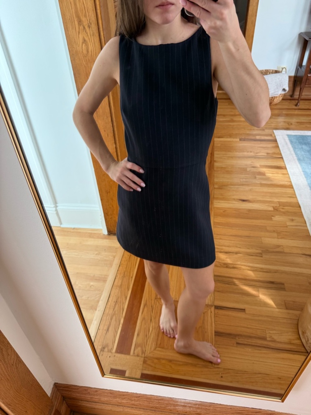 Aritzia Babaton Bond Dress